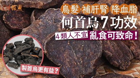 何首烏價格|何首烏 的功效與作用有哪些？完整解析！